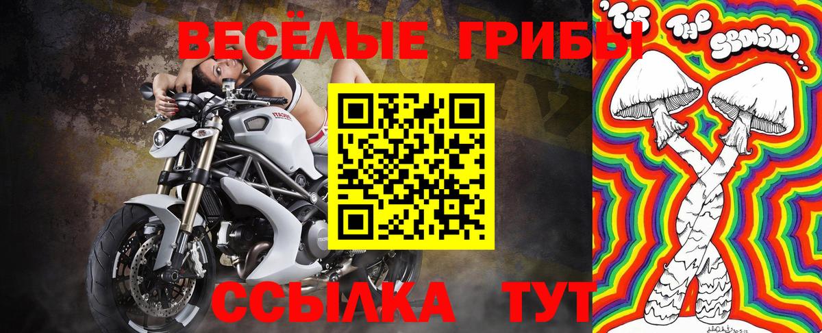 Псилоцибиновые грибы Cubensis Югорск